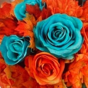 ~Welcome to Lolly Land~